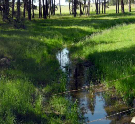 19600 South Spangle Creek Road Spangle, WA 99031 - Photo 3 of 9