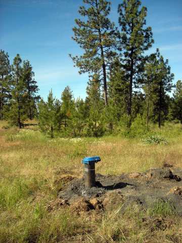 19600 South Spangle Creek Road Spangle, WA 99031 - Photo 5 of 9
