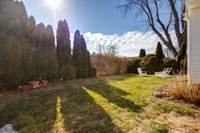 a view of a yard with yellow lighting