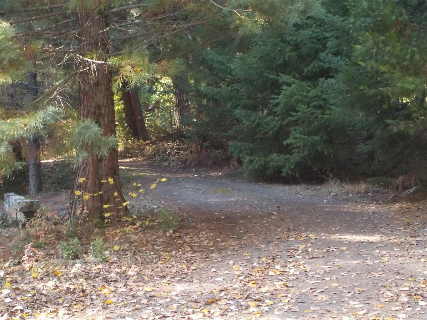 341 Red Blanket Road Prospect, OR 97536 - Photo 5 of 19 This is the back exit from the property.