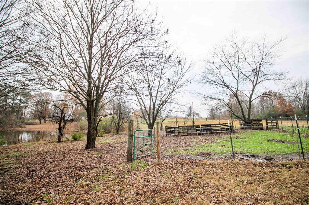 64 Fox Hunter Road Humboldt, TN 38343 - Photo 22 of 45 Gallery Image 22