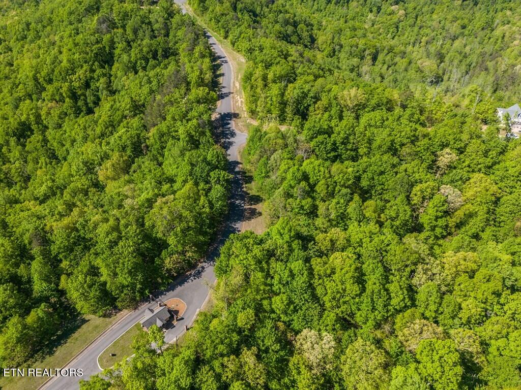 Lot 1 WIND RUSH Way Monterey, TN 38574 - Photo 6 of 8 The Bluffs overview entrance