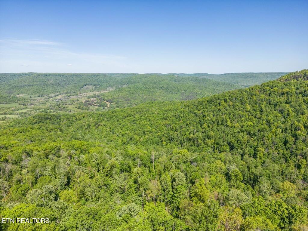 Lot 1 WIND RUSH Way Monterey, TN 38574 - Photo 7 of 8 The Bluffs views