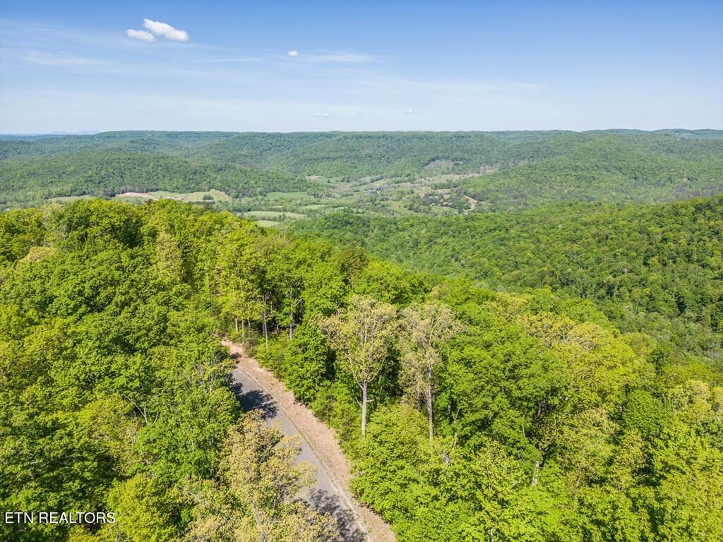 Lot 1 WIND RUSH Way Monterey, TN 38574 - Photo 8 of 8 The Bluffs