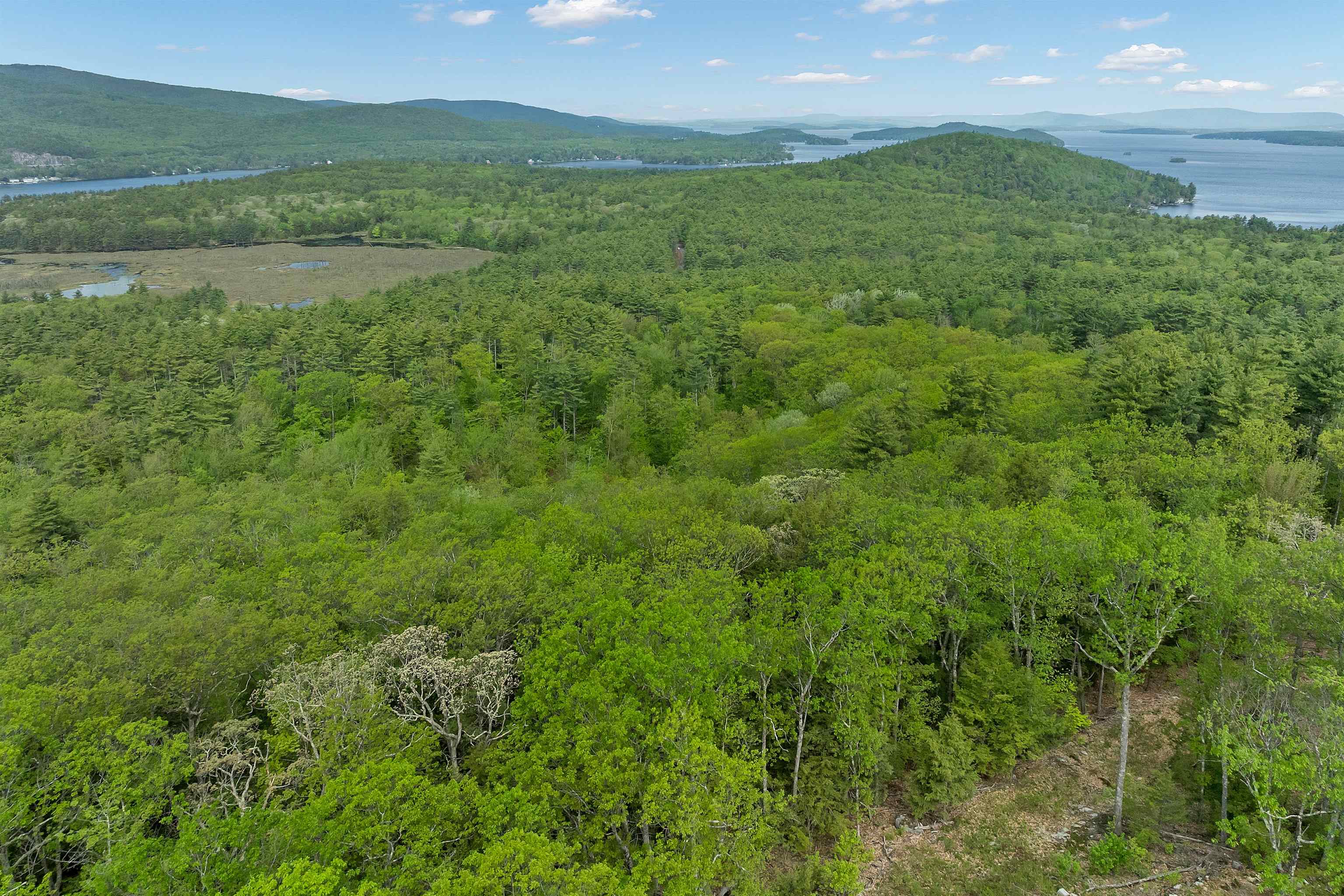 0 Fort Point Road, Unit MAP 18 LOT 13 Alton Bay, NH 03810 - Photo 11 of 12 Gallery Image 11