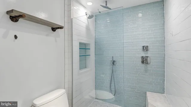 a bathroom with a shower and toilet