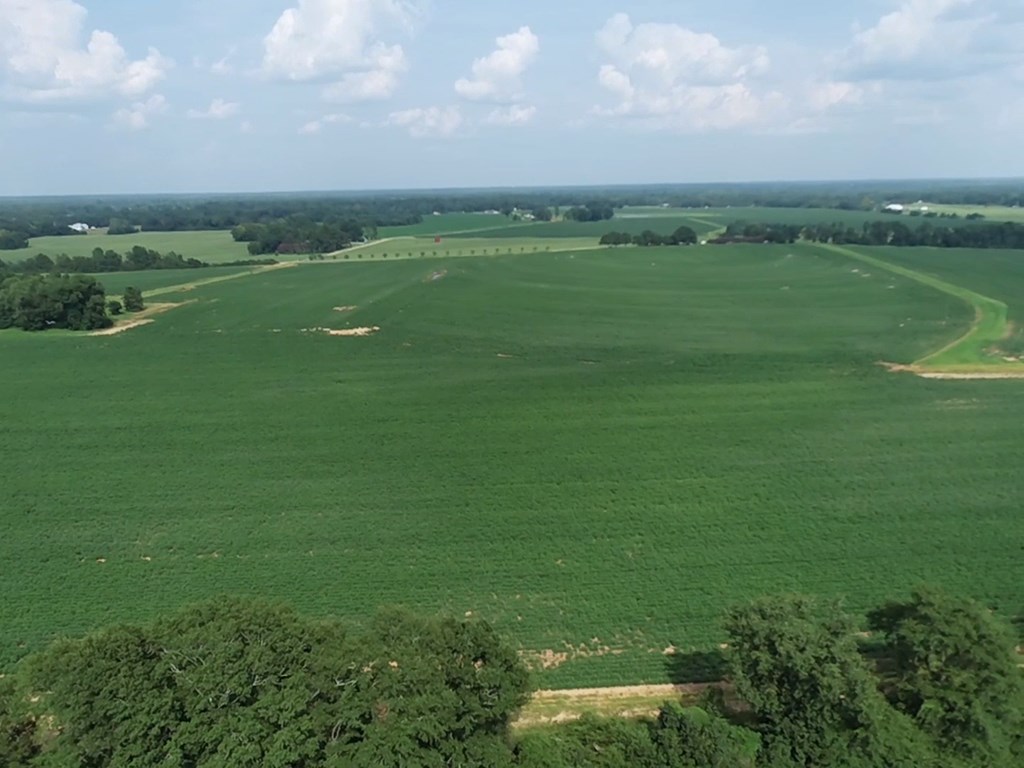 132.3-ac Green Road Dothan, AL 36303 - Photo 22 of 63