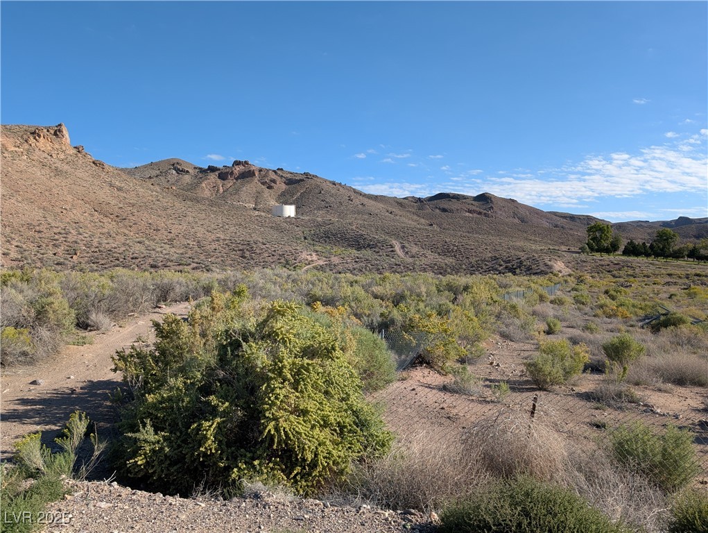 93 (19.14 Ac) Caliente, NV 89008 - Photo 3 of 18