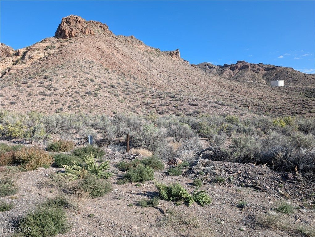 93 (19.14 Ac) Caliente, NV 89008 - Photo 7 of 18