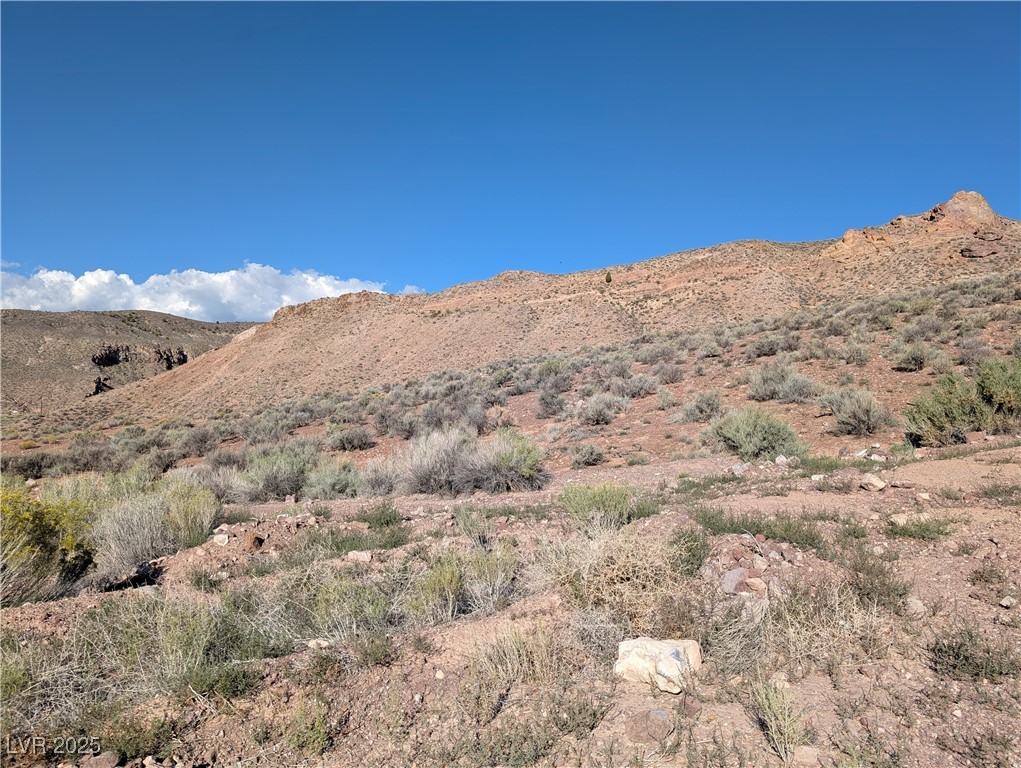 93 (19.14 Ac) Caliente, NV 89008 - Photo 8 of 18