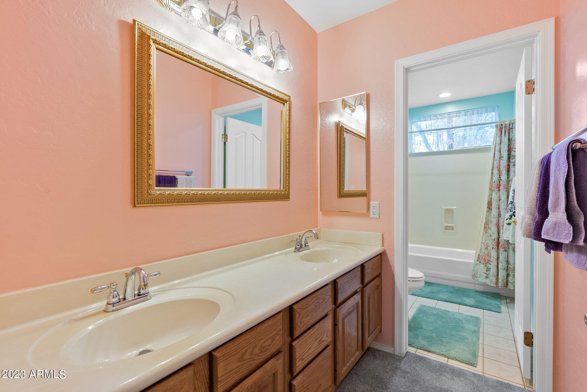3343 East Guadalupe Road Gilbert, AZ 85234 - Photo 14 of 36 Hall Bath (Main Level)