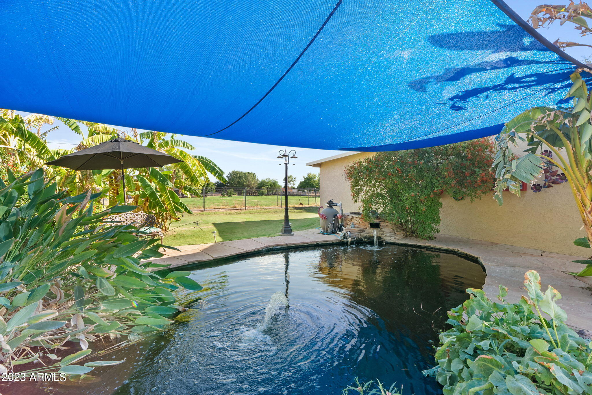 3343 East Guadalupe Road Gilbert, AZ 85234 - Photo 28 of 36 Koi Pond