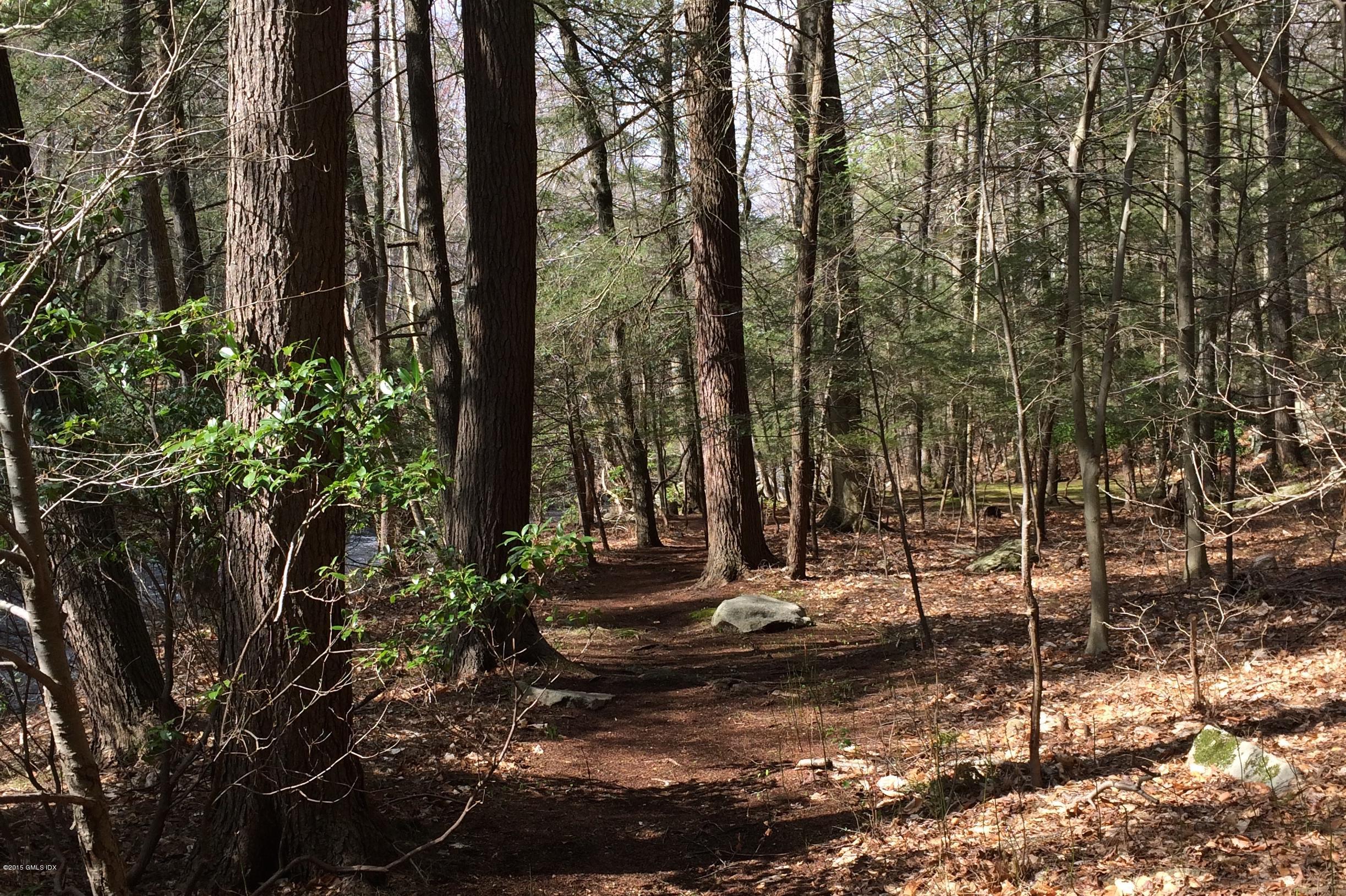51 Mill Brook Road Stamford, CT 06902 - Photo 29 of 32 51 Mill Brook Path