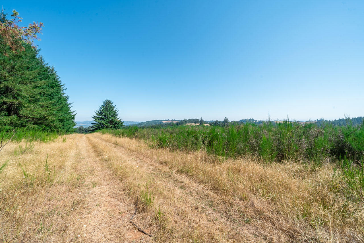 4002 Vitae Springs Road South Salem, OR 97306 - Photo 41 of 53 4002-Vitae-Springs-Rd-S-41