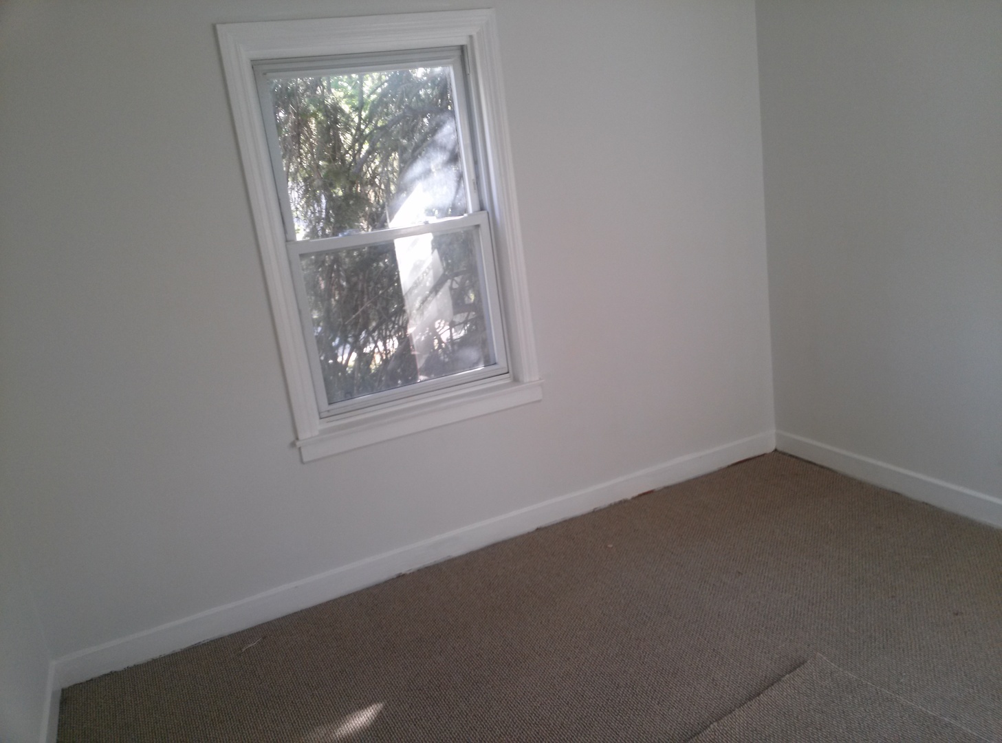 6534 North Troy Street Chicago, IL 60645 - Photo 7 of 22