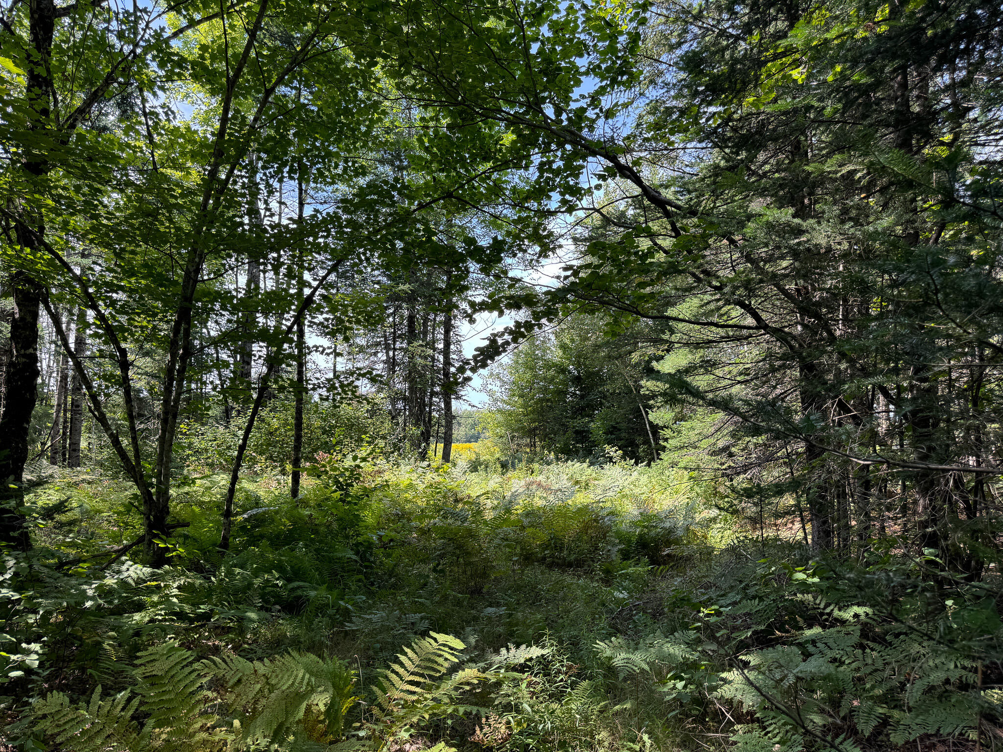 M9-l20-1 Valley Road Etna, ME 04434 - Photo 21 of 33