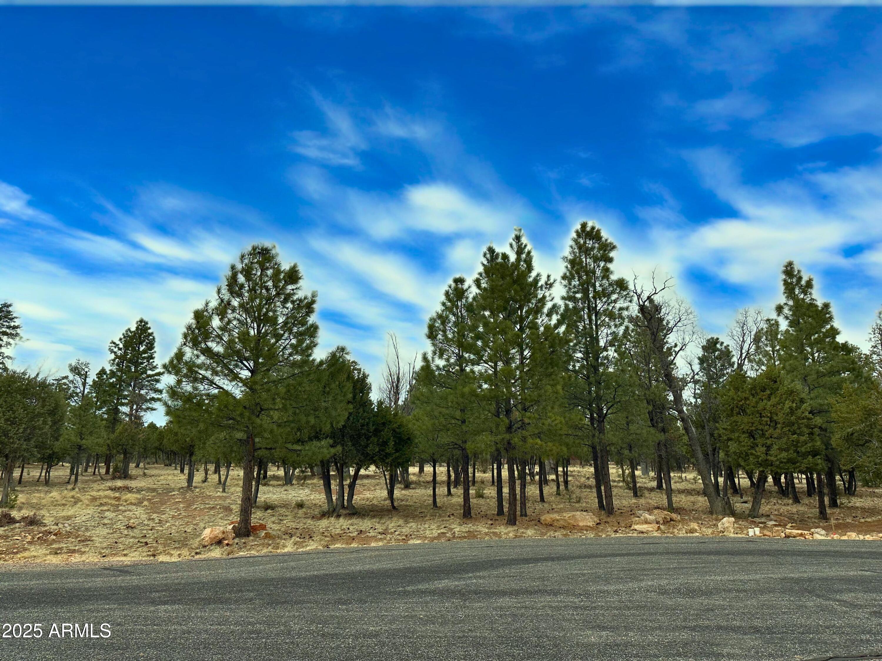 5823 Cripple Creek, Unit 259 Happy Jack, AZ 86024 - Photo 1 of 7 a view of a yard with a tree