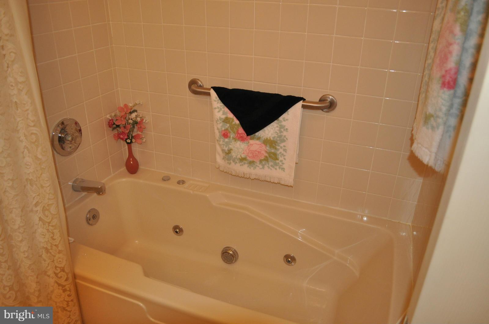 2516 Bollard Road Annapolis, MD 21401 - Photo 14 of 29 Main level hall bath w/ whirlpool