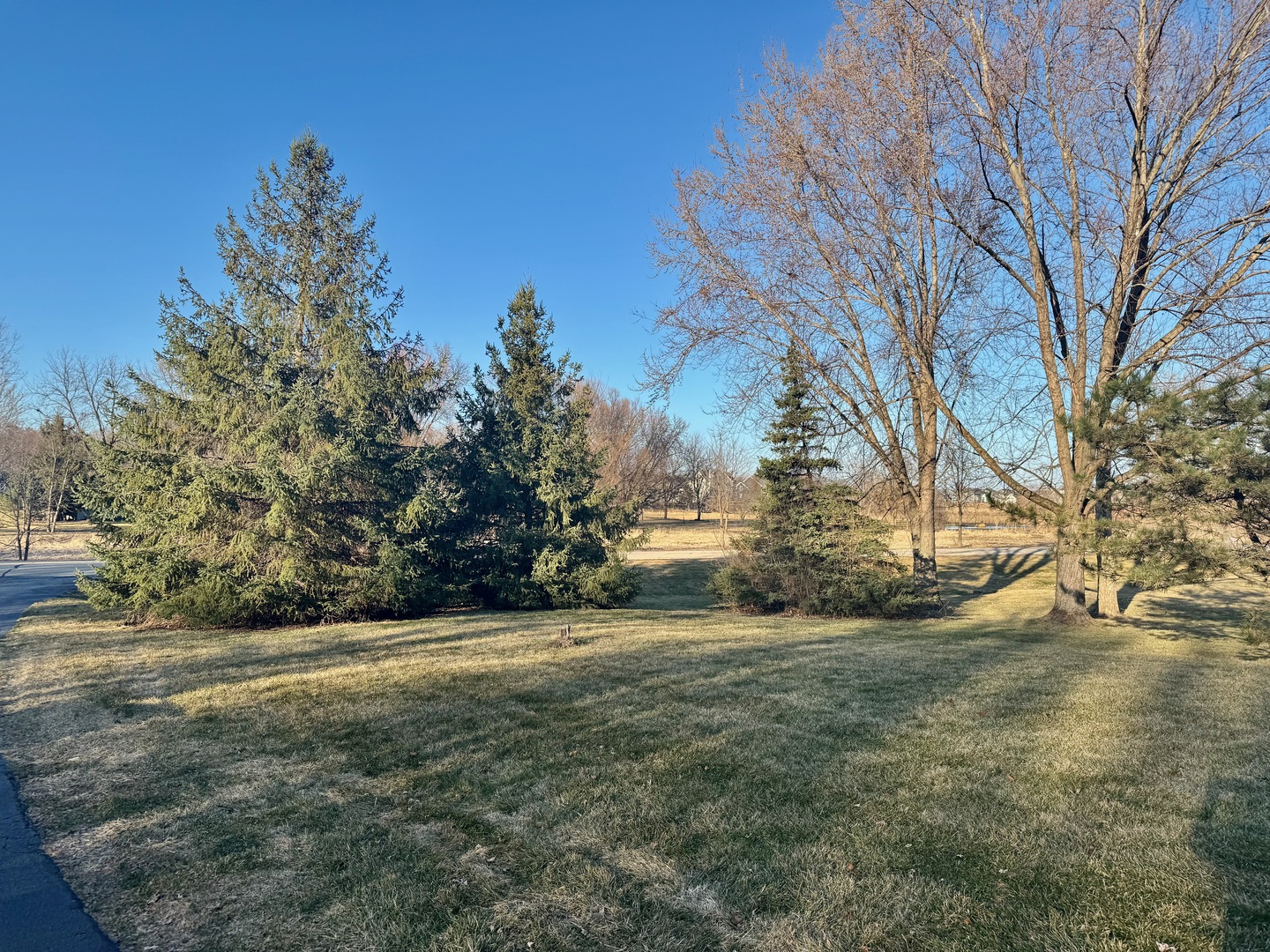 37W765 Spring Green Way Batavia, IL 60510 - Photo 26 of 26