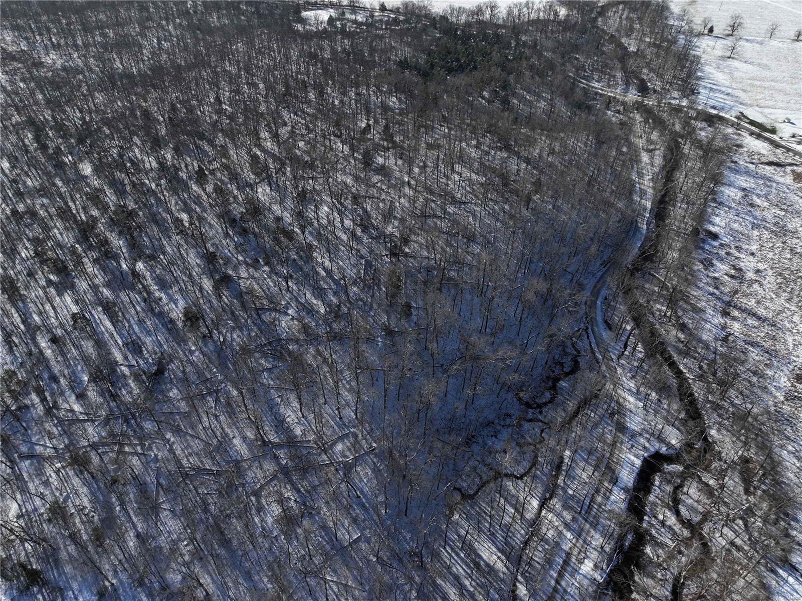 0 County Road 257 Fredericktown, MO 63645 - Photo 15 of 20