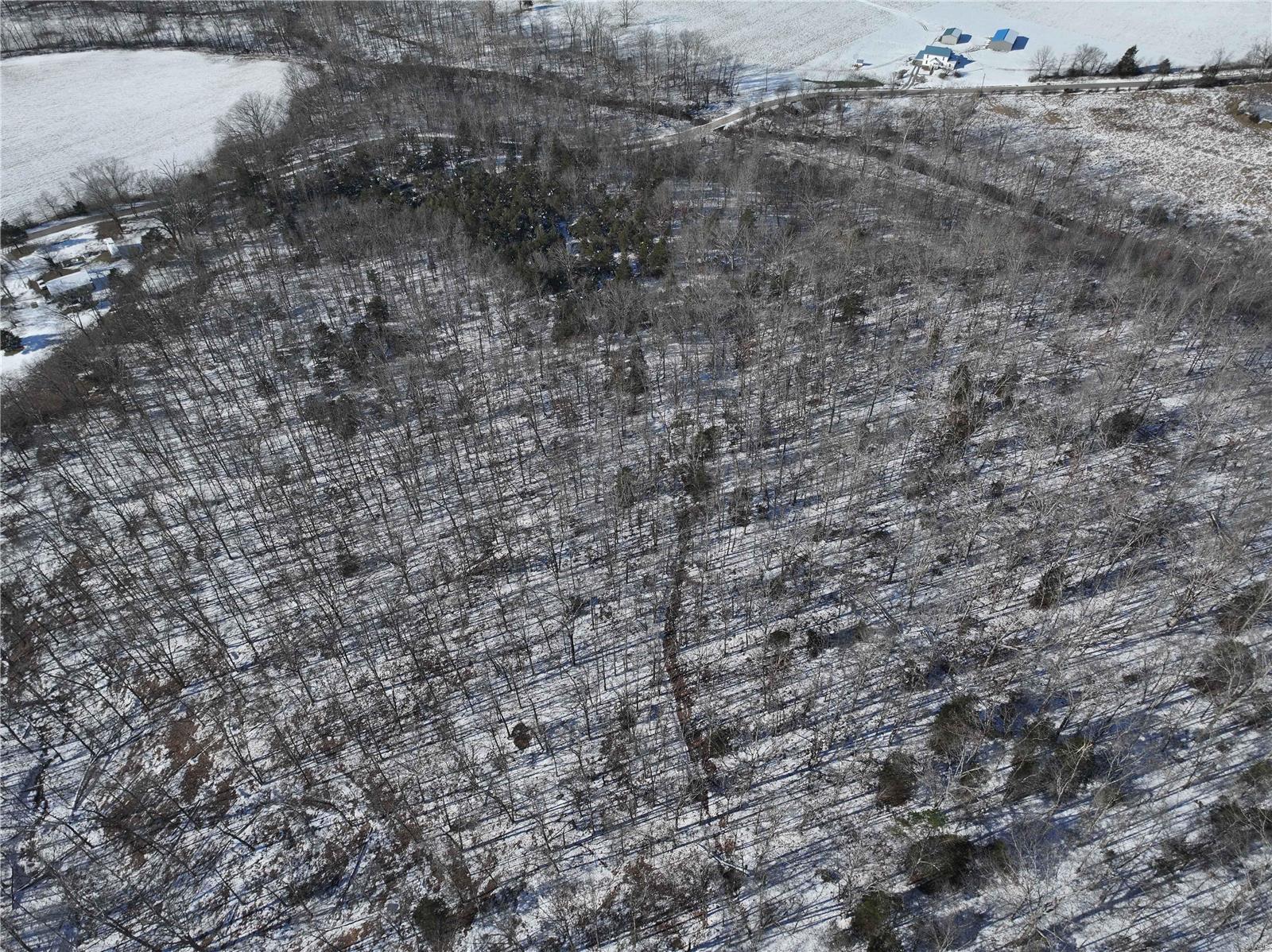 0 County Road 257 Fredericktown, MO 63645 - Photo 4 of 20