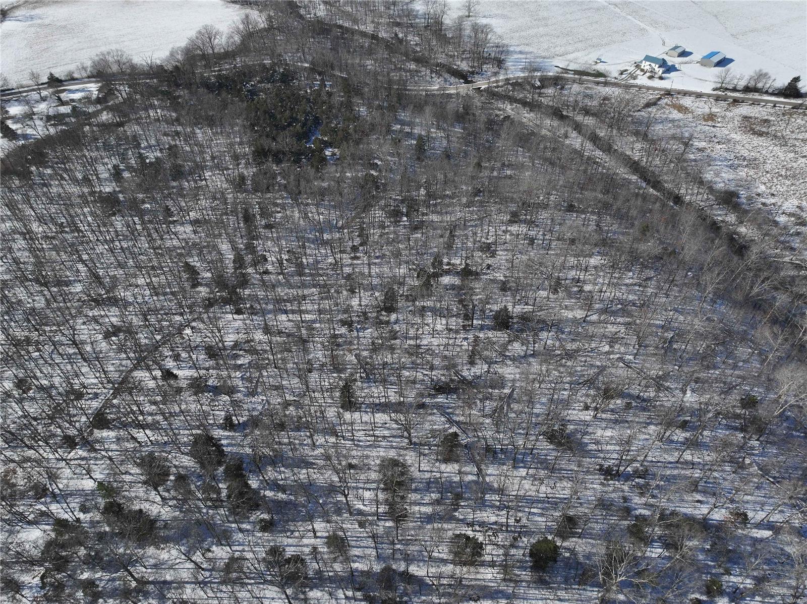 0 County Road 257 Fredericktown, MO 63645 - Photo 5 of 20