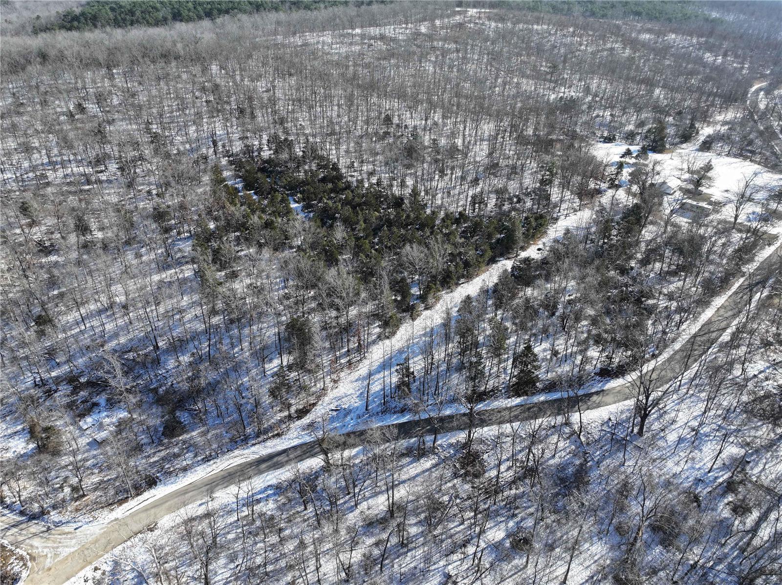 0 County Road 257 Fredericktown, MO 63645 - Photo 6 of 20