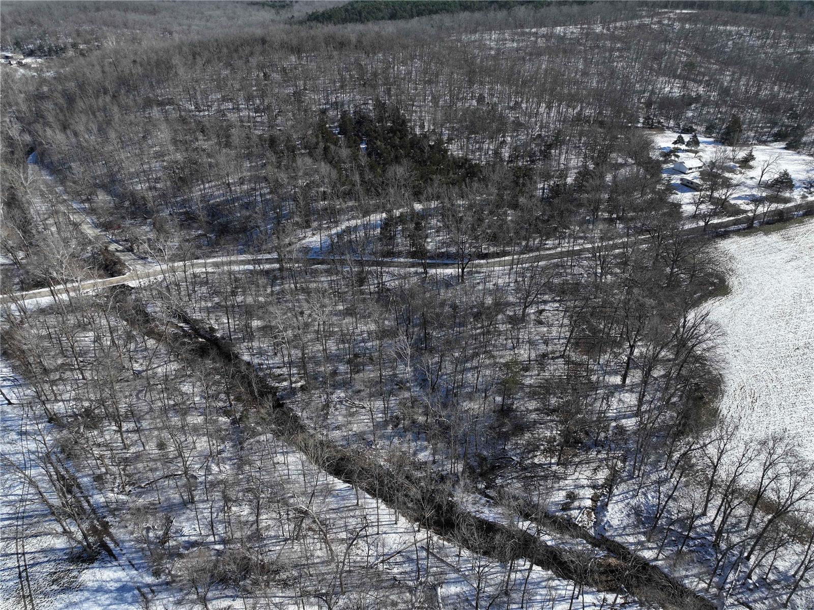 0 County Road 257 Fredericktown, MO 63645 - Photo 8 of 20