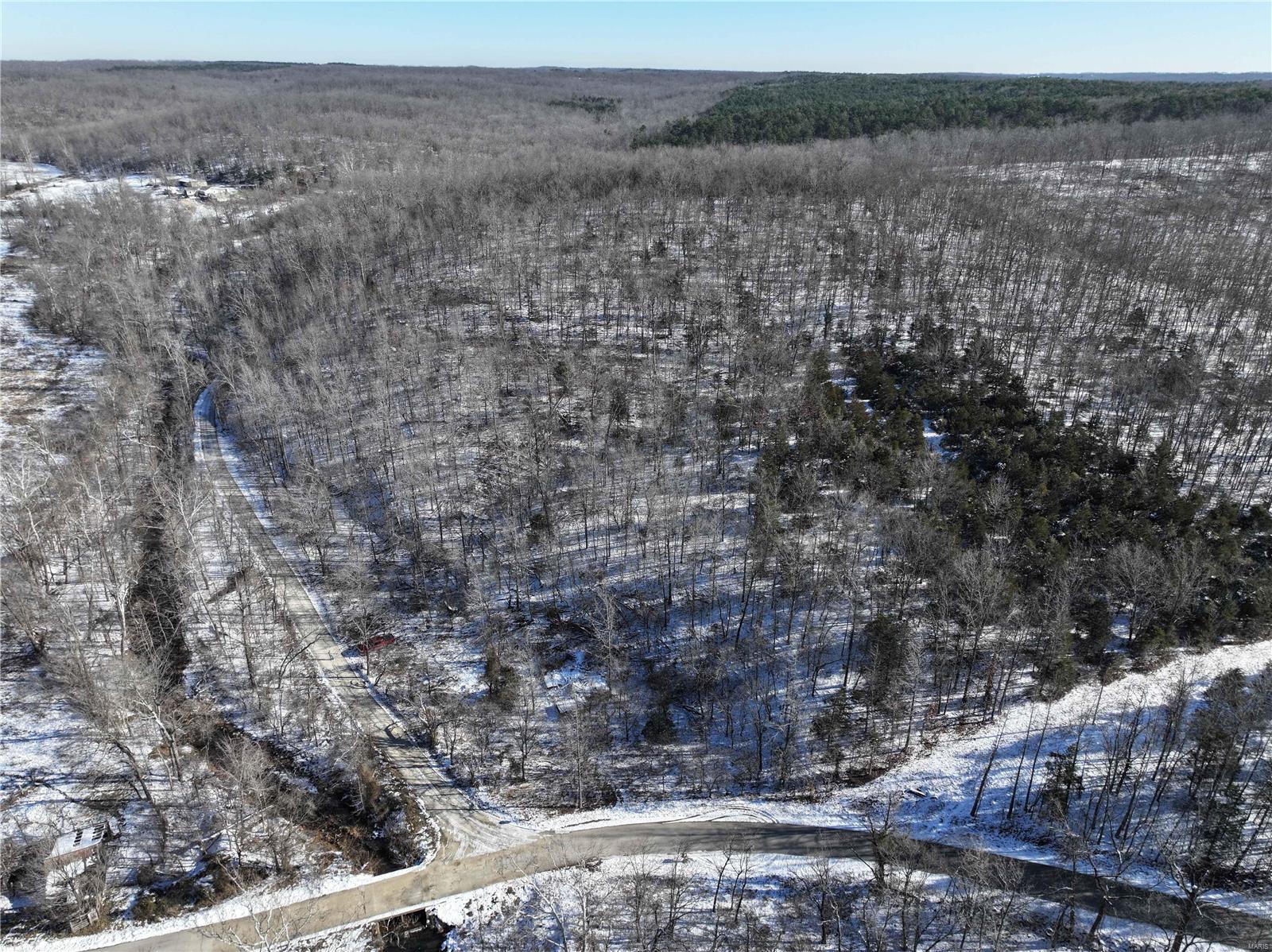 0 County Road 257 Fredericktown, MO 63645 - Photo 10 of 20