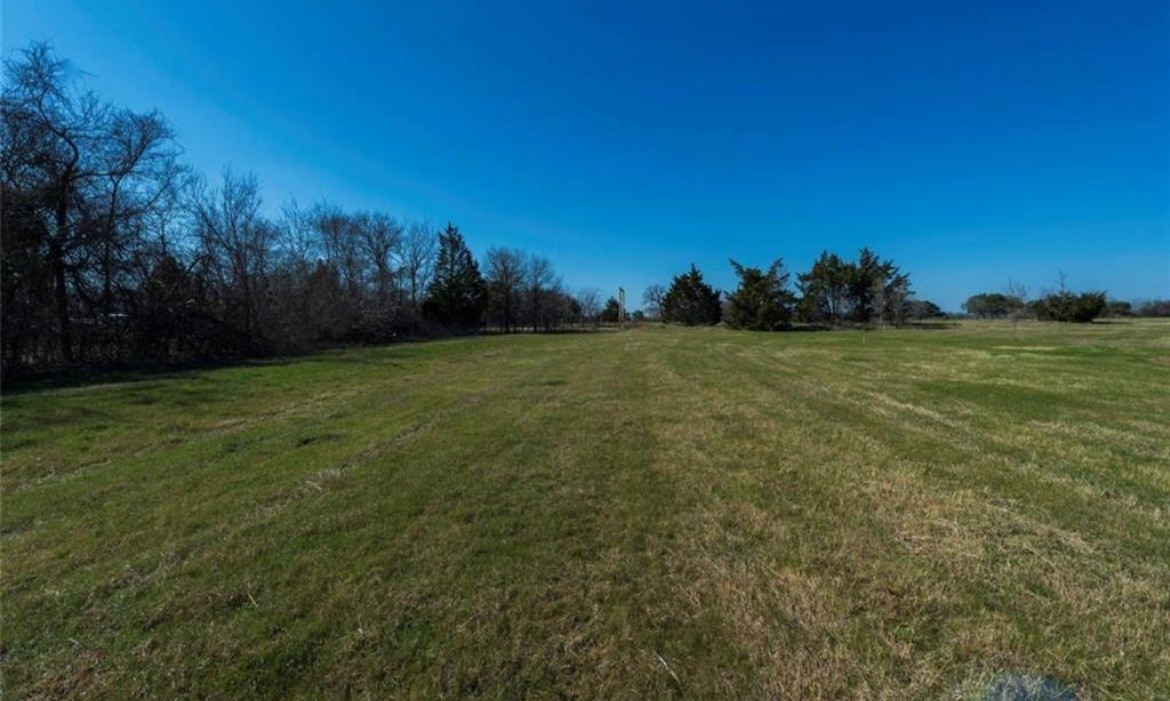 a view of a field with trees in the background