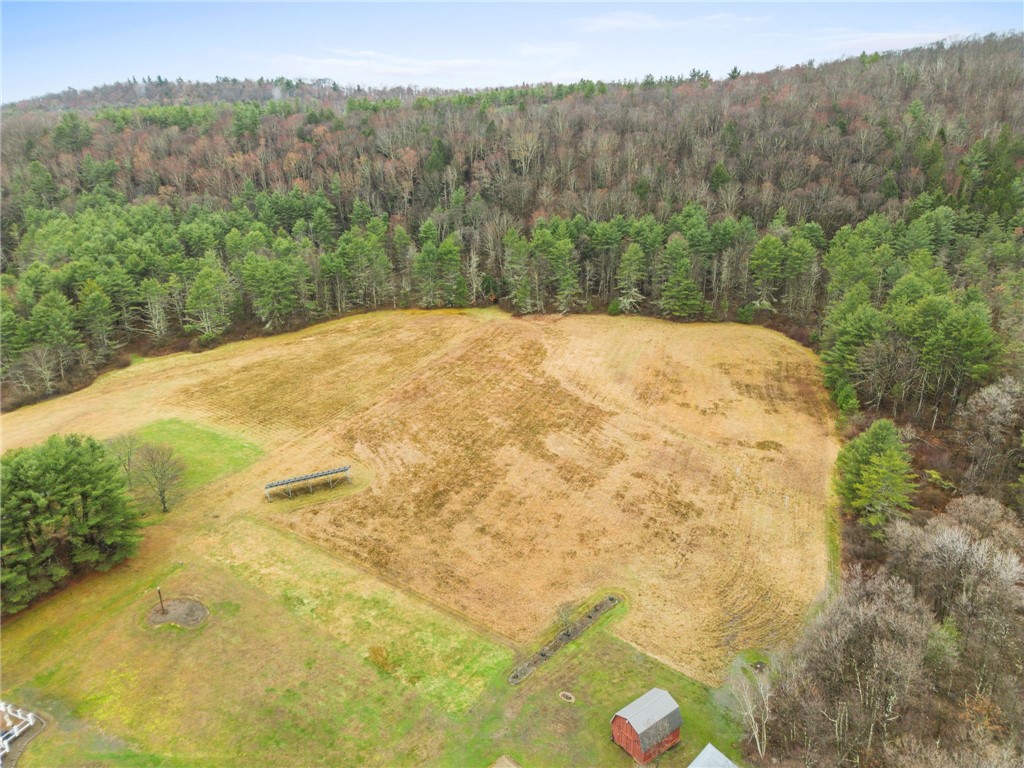 663 Halsey Valley Road Barton, NY 13734 - Photo 42 of 42