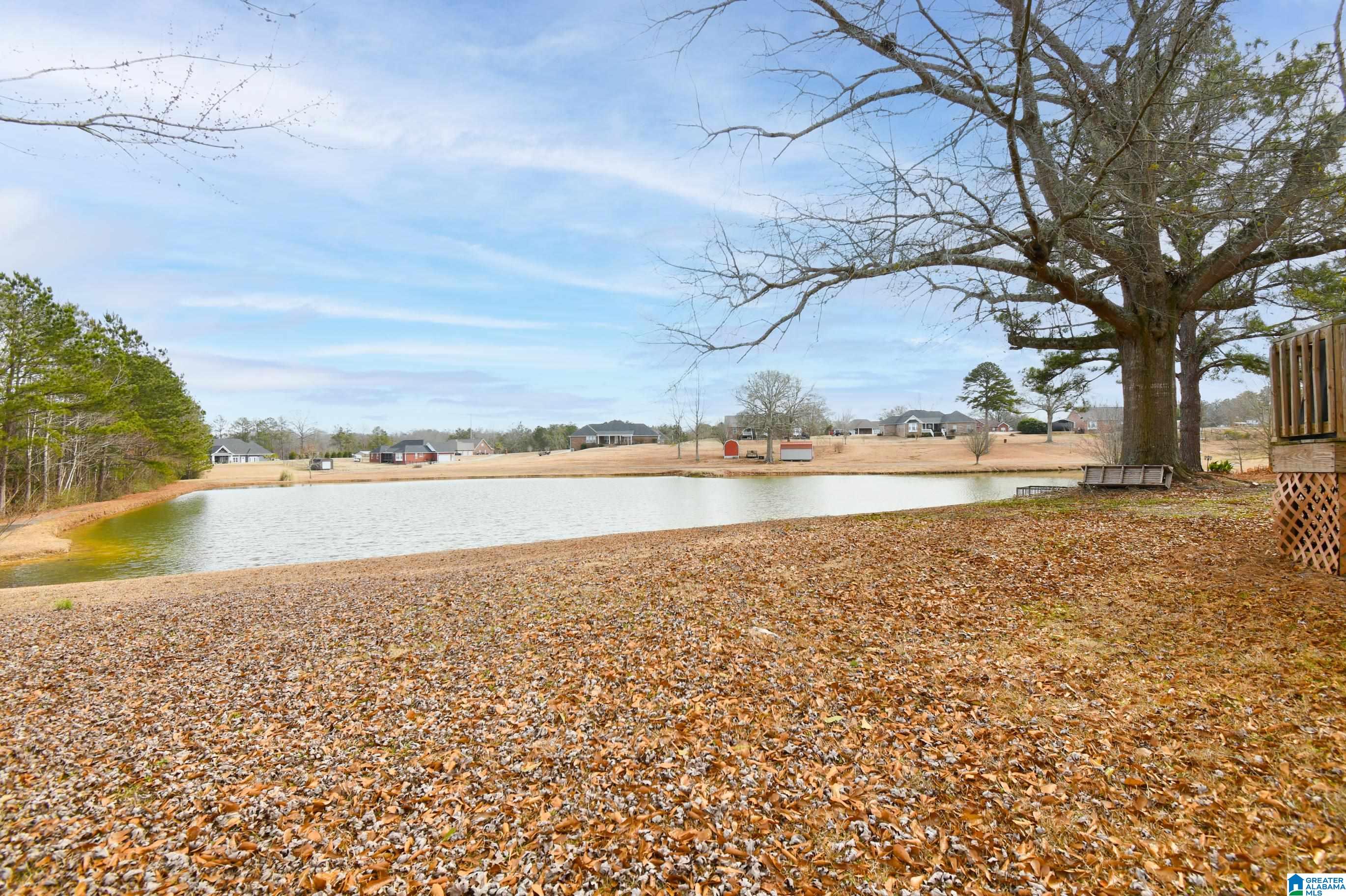 50 County Road 862 Clanton, AL 35045 - Photo 30 of 34