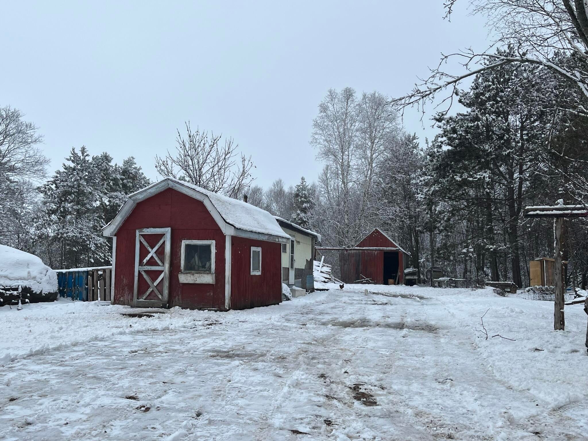 3568 West 10 Mile Road Dafter, MI 49724 - Photo 8 of 70 Gallery Image 8