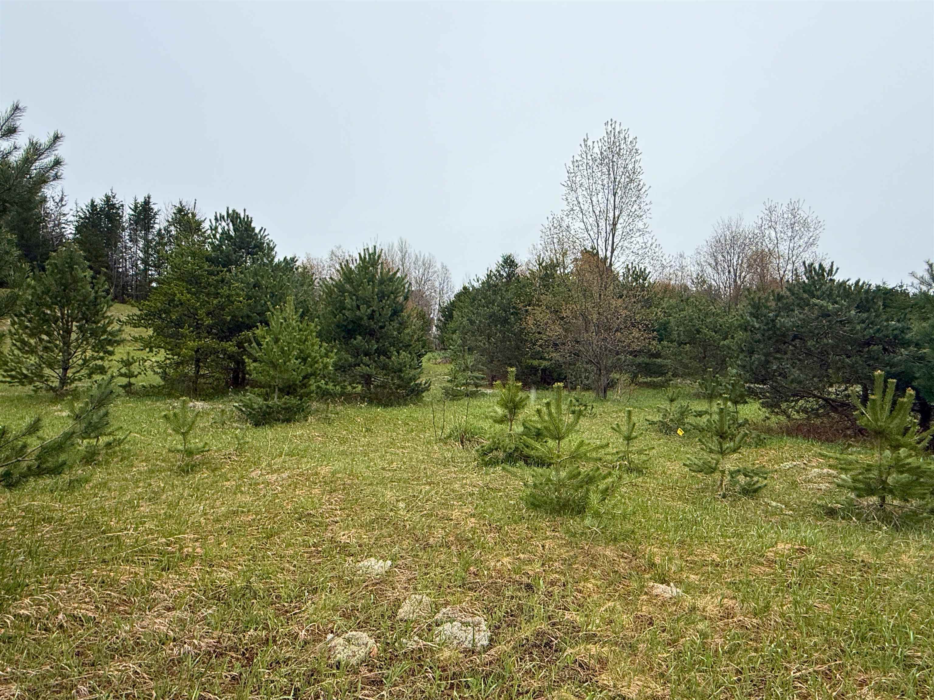0 West County Line Road, Unit LOT: C Thompsonville, MI 49683 - Photo 9 of 21