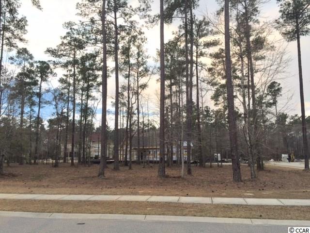 Lot 446 Timmerman Road Myrtle Beach, SC 29588 - Photo 1 of 15 Gallery Image 1
