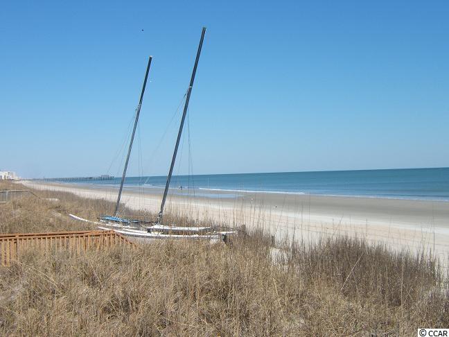 Lot 446 Timmerman Road Myrtle Beach, SC 29588 - Photo 3 of 15 Gallery Image 3