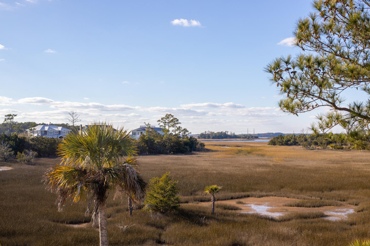 1504 Red Drum Road Mount Pleasant, SC 29466 - Photo 53 of 59 Marshfront