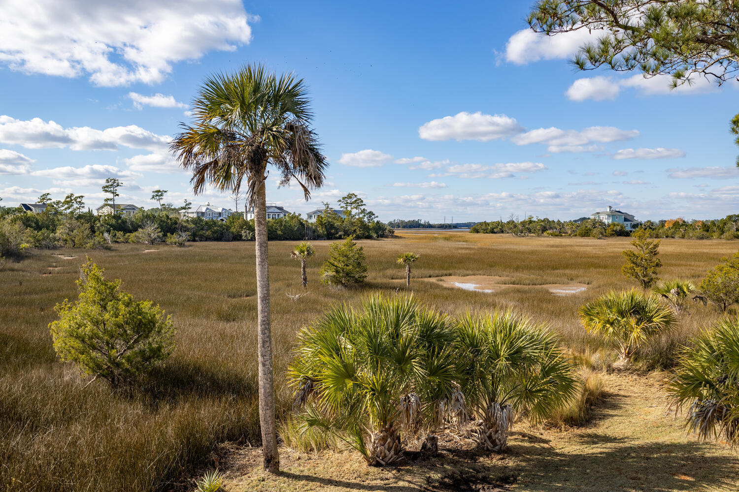 1504 Red Drum Road Mount Pleasant, SC 29466 - Photo 58 of 59 Marshfront