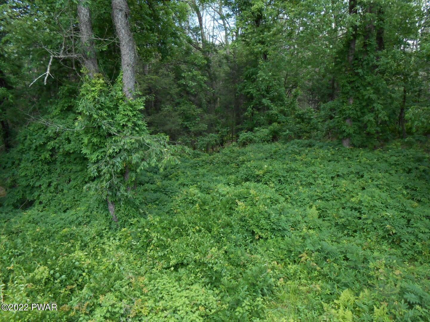 568 Rowland Road Greeley, PA 18425 - Photo 54 of 58 9c