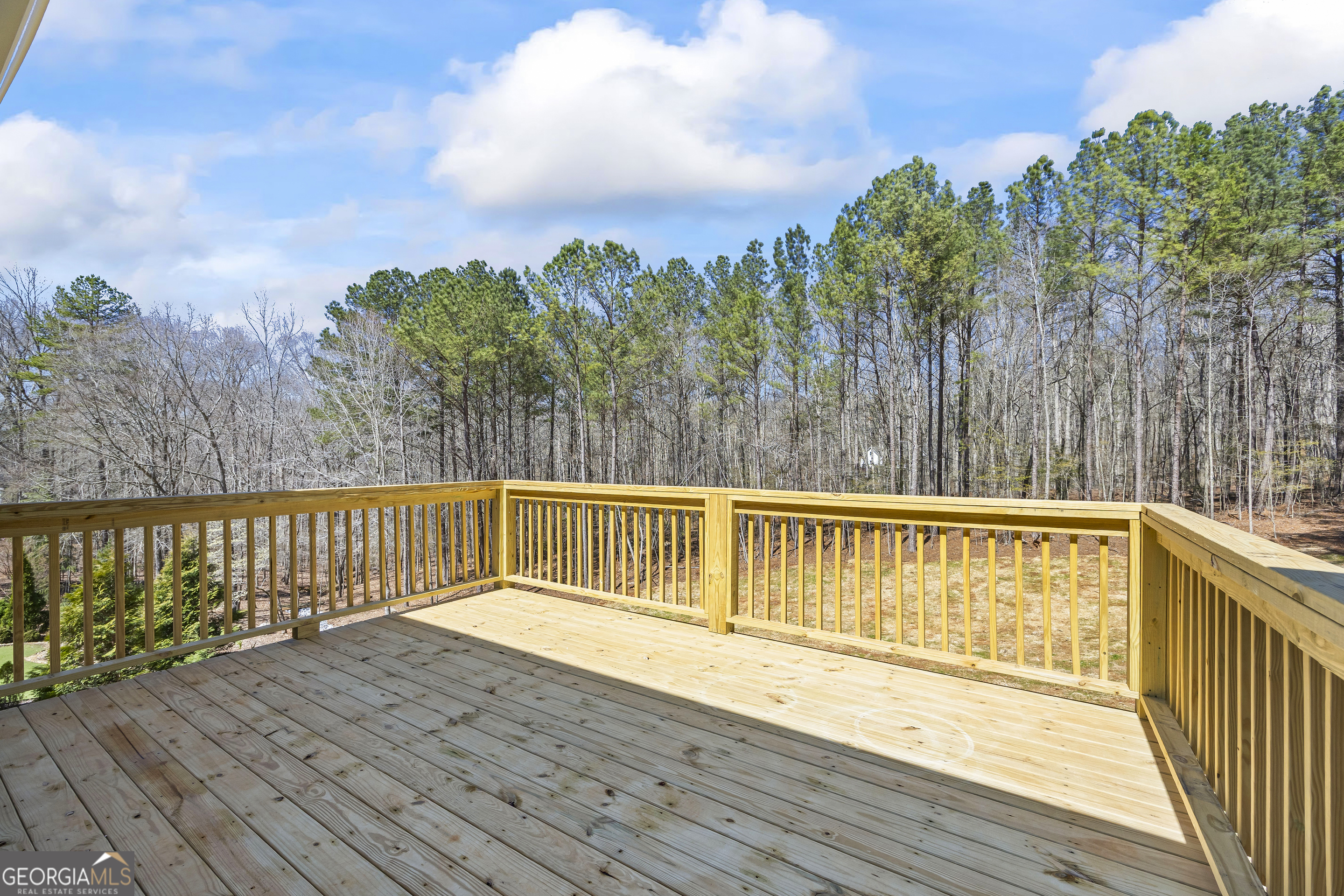 1229 Morgans Run Monroe, GA 30656 - Photo 43 of 54