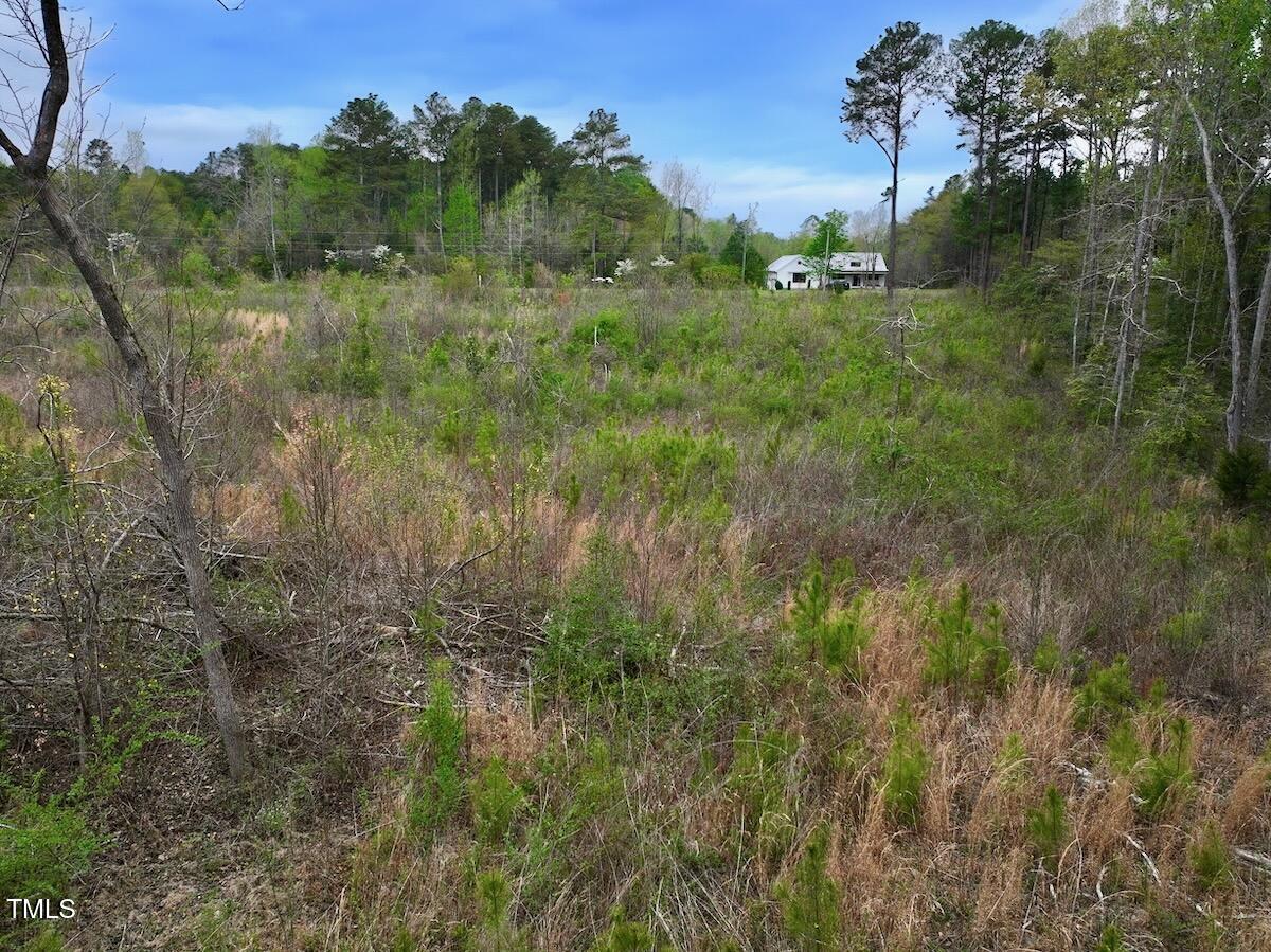 0 Kelly Plantation Road Carthage, NC 28327 - Photo 19 of 26 19