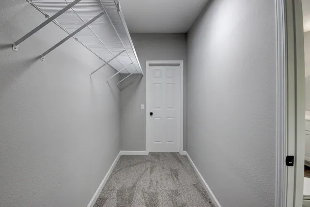 a bathroom with a shower and a toilet