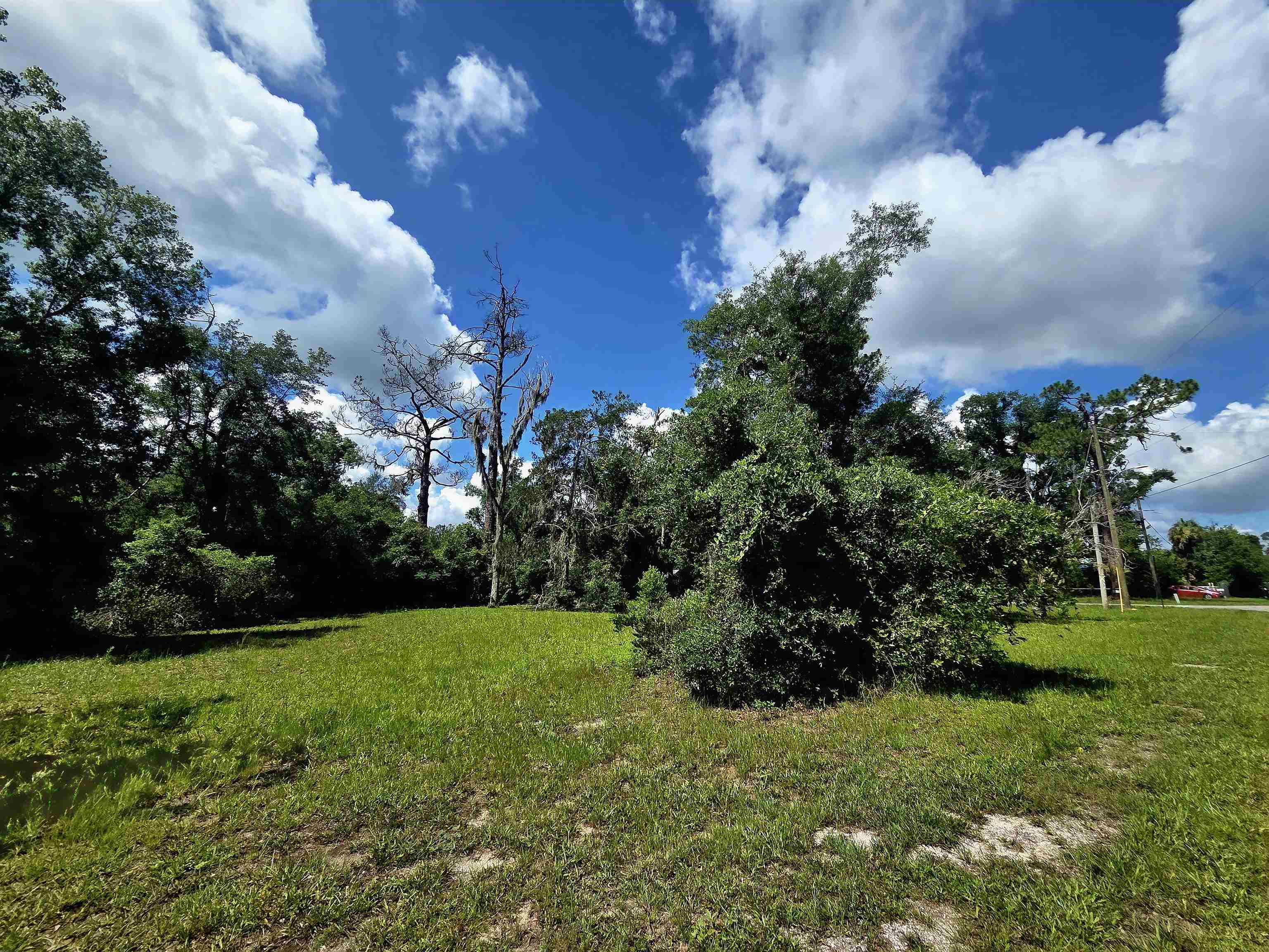 6-8 North Washington Street Perry, FL 32347 - Photo 10 of 15
