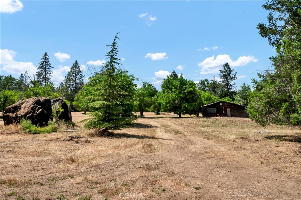 22550 Shady Grove Road Middletown, CA 95461 - Photo 39 of 68