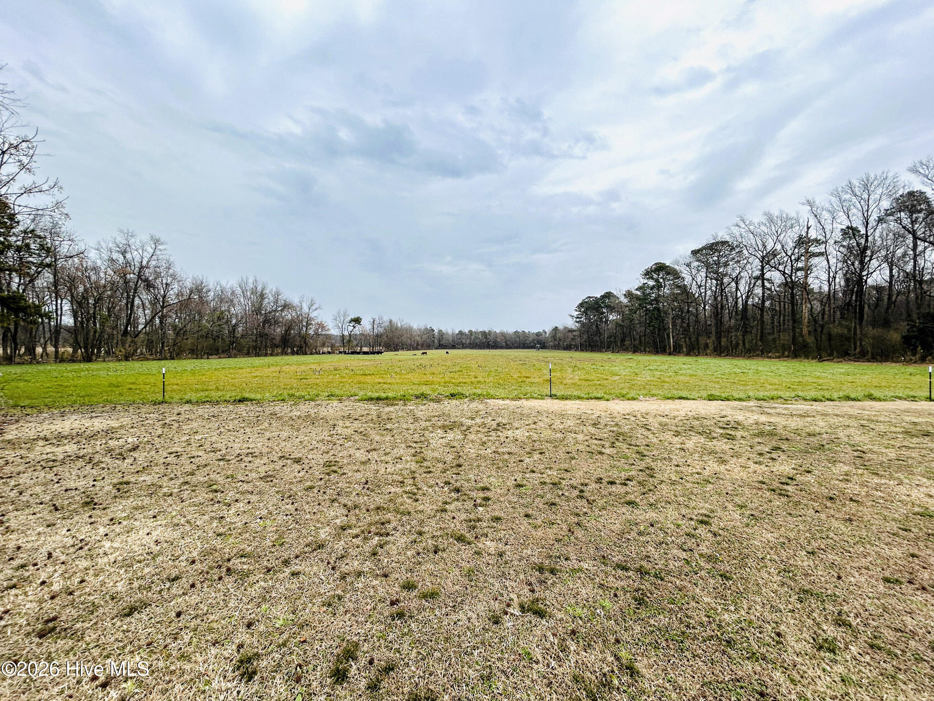 1269 Deep Bottom Road Wallace, NC 28466 - Photo 68 of 88 22-IMG_6428