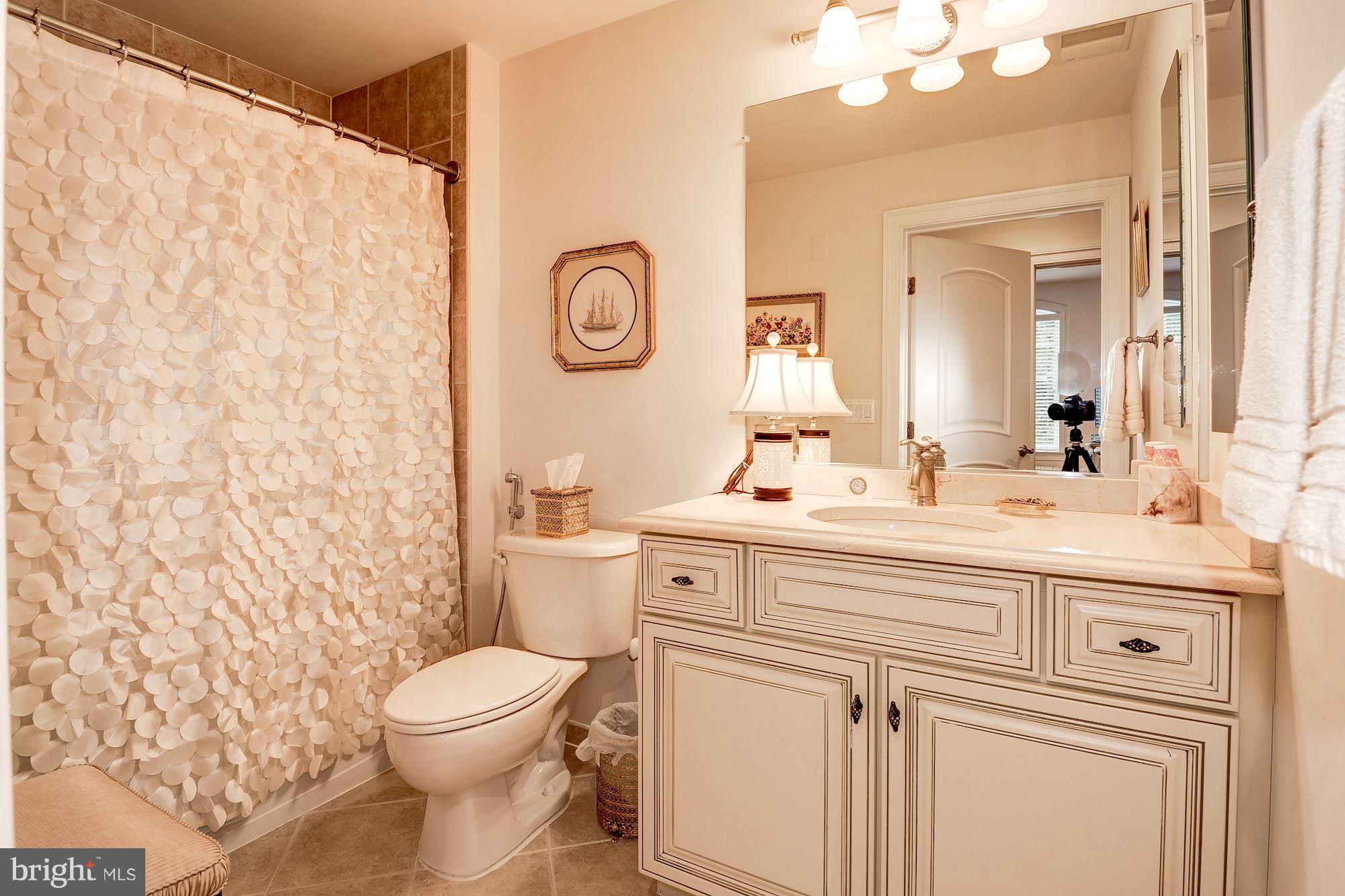 1781 Chain Bridge Road, Unit 308 McLean, VA 22102 - Photo 16 of 30 Bath