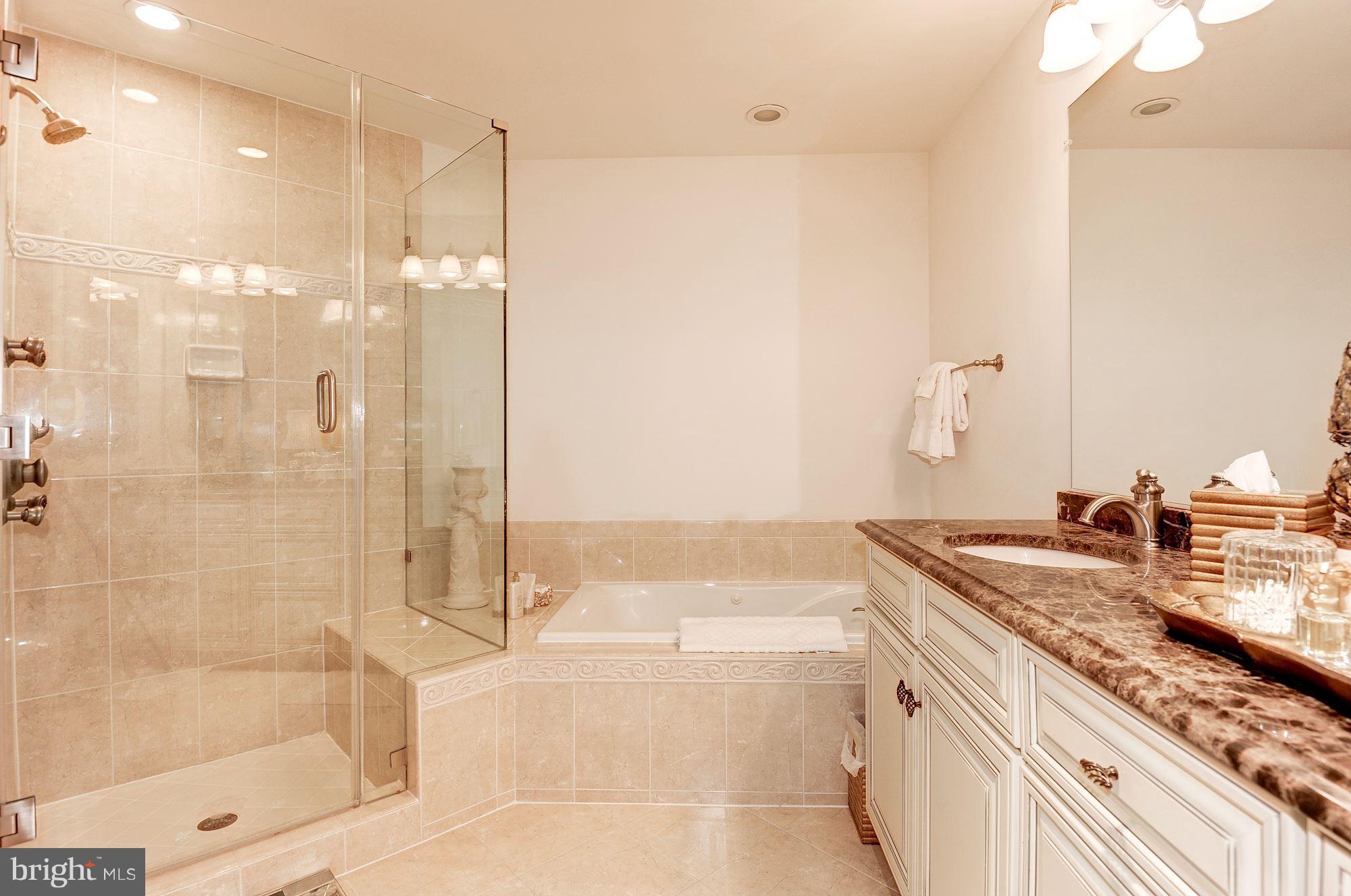 1781 Chain Bridge Road, Unit 308 McLean, VA 22102 - Photo 19 of 30 Bedroom (Master)
