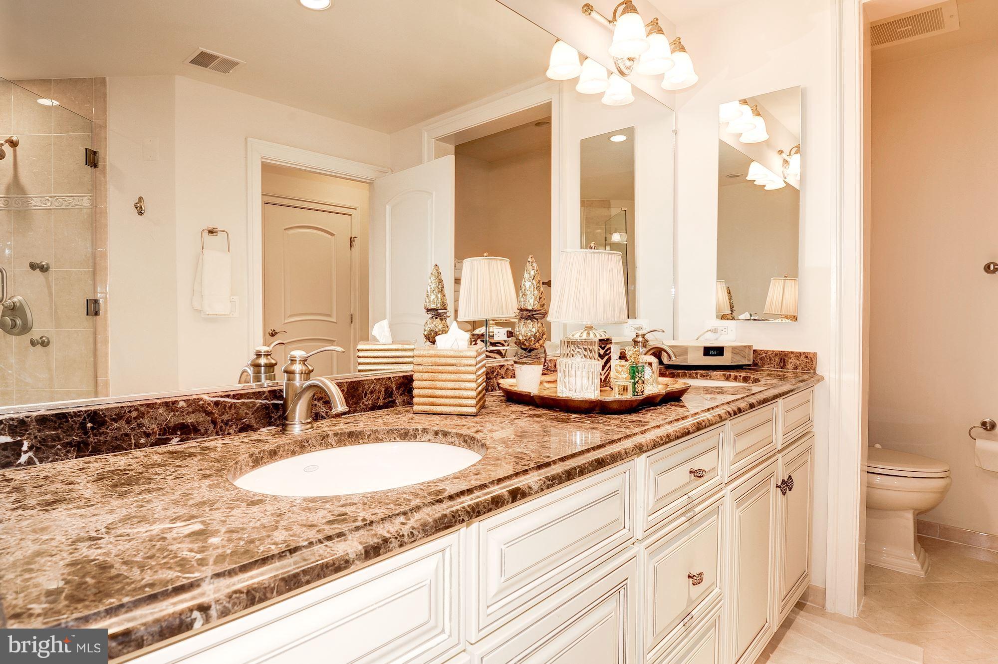 1781 Chain Bridge Road, Unit 308 McLean, VA 22102 - Photo 20 of 30 Bath (Master)