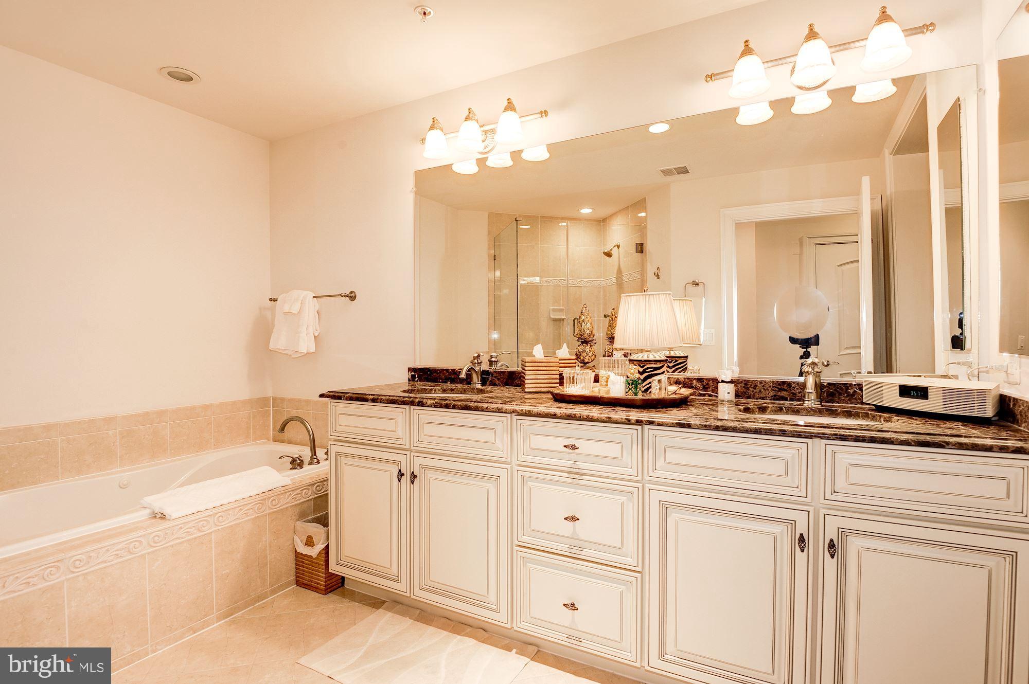 1781 Chain Bridge Road, Unit 308 McLean, VA 22102 - Photo 21 of 30 Bath (Master)