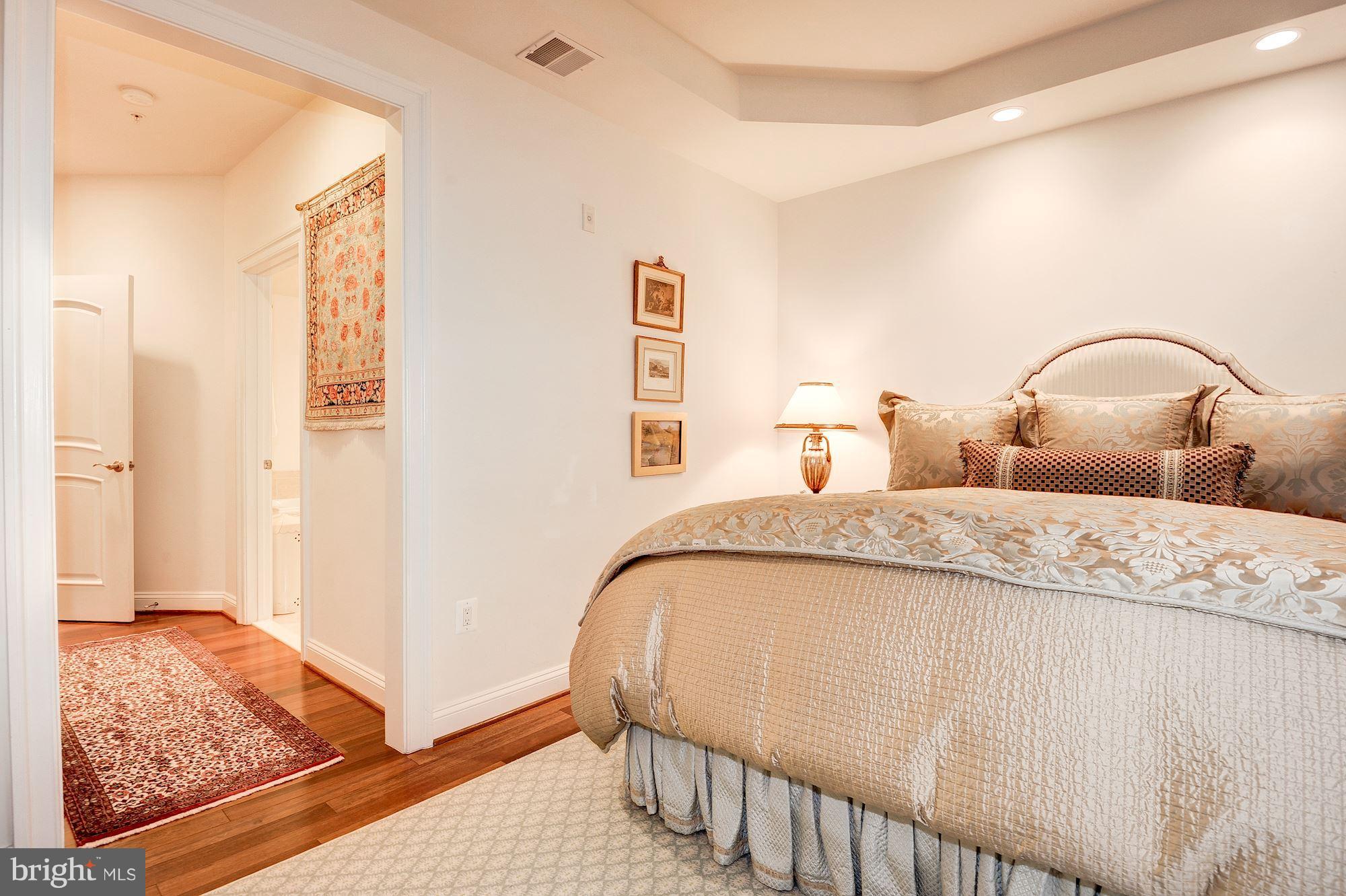 1781 Chain Bridge Road, Unit 308 McLean, VA 22102 - Photo 25 of 30 Bedroom (Master)
